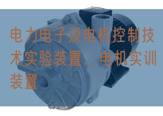 電力電子及電機控制技術(shù)實驗裝置,電機實訓裝置(圖1) 電力電子及電機控制技術(shù)實驗裝置,電機實訓裝置(圖1)